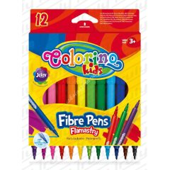 Colorino filctoll készlet (12db) - 14588