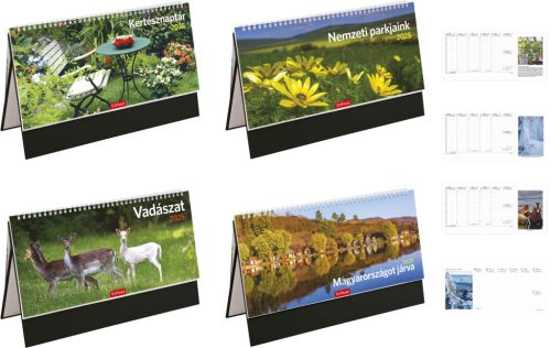 Képes asztali naptár TopTimer T054 2025 - 4 mintával 