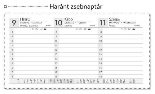 24- Zsebnaptár haránt Premium Bright 2026 - 4 színben